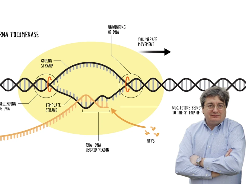 Richard H. Ebright Biography: Life, Research, & Achievements